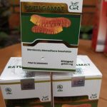 Jual Kapsul Ekstrak Gamat di Semarang – Produk Praktis untuk Kebutuhan Harian