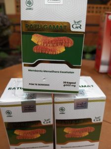 Jual Kapsul Ekstrak Gamat di Semarang – Produk Praktis untuk Kebutuhan Harian