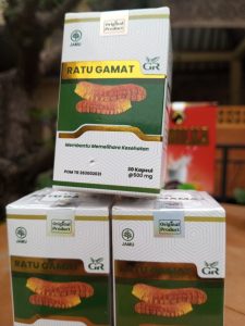 jual kapsul gamat