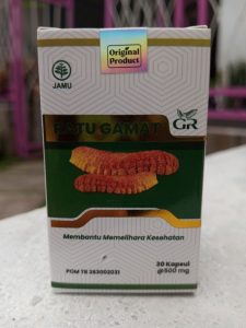 jual kapsul gamat